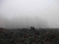 nte Fontane-201011107 083